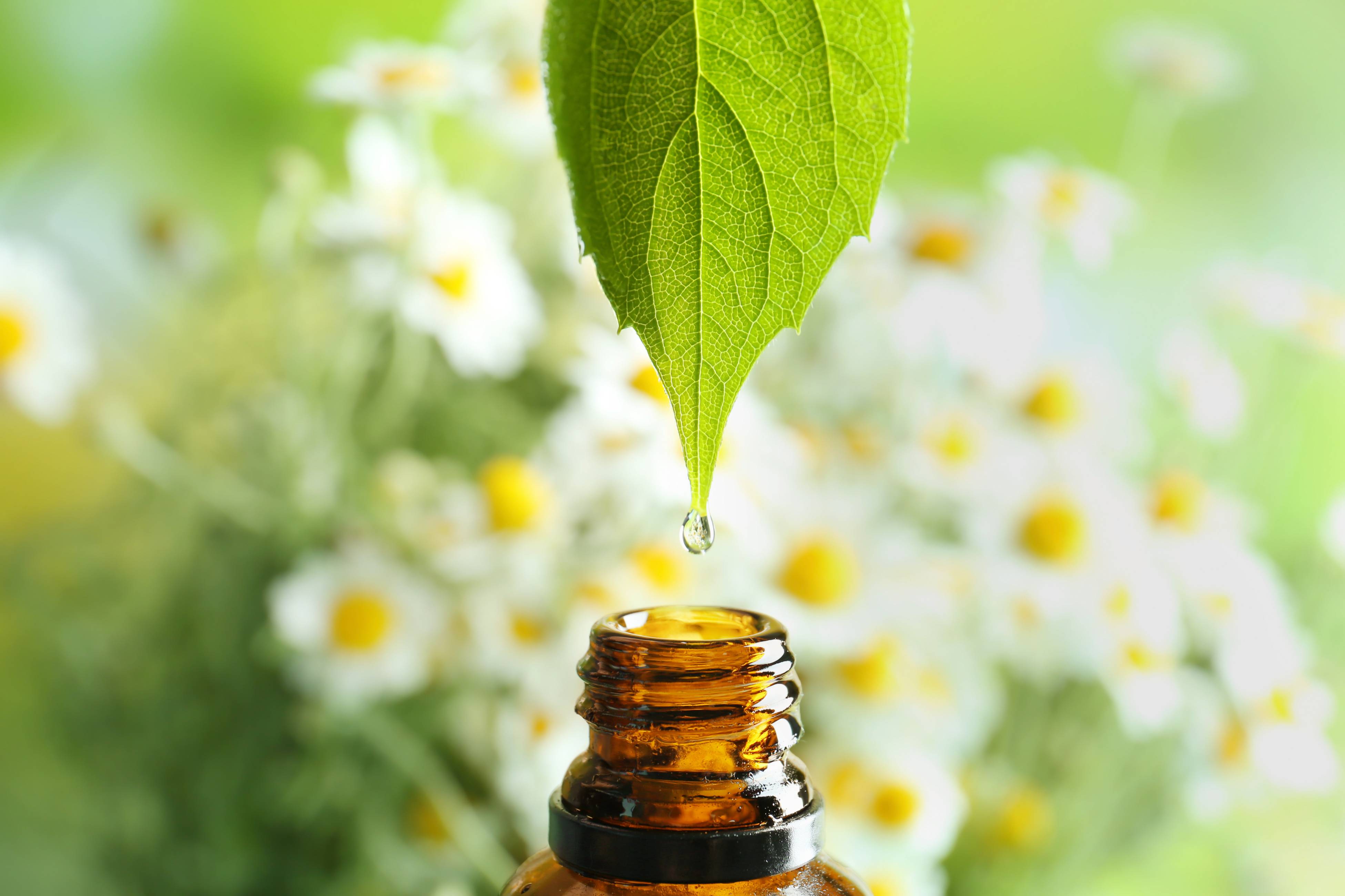 Need Help Chilling the F*ck Out? 5 Best Essential Oils for Anxiety